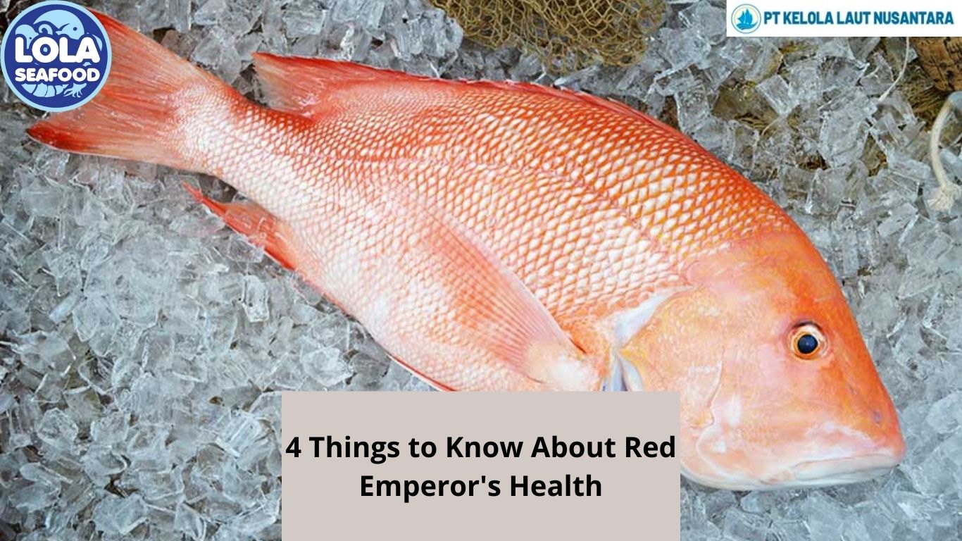 4 Things to Know About Red Emperor's Health